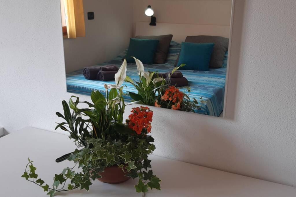 Casa Cao Appartamento "L'Ulivo" Nurachi Bagian luar foto